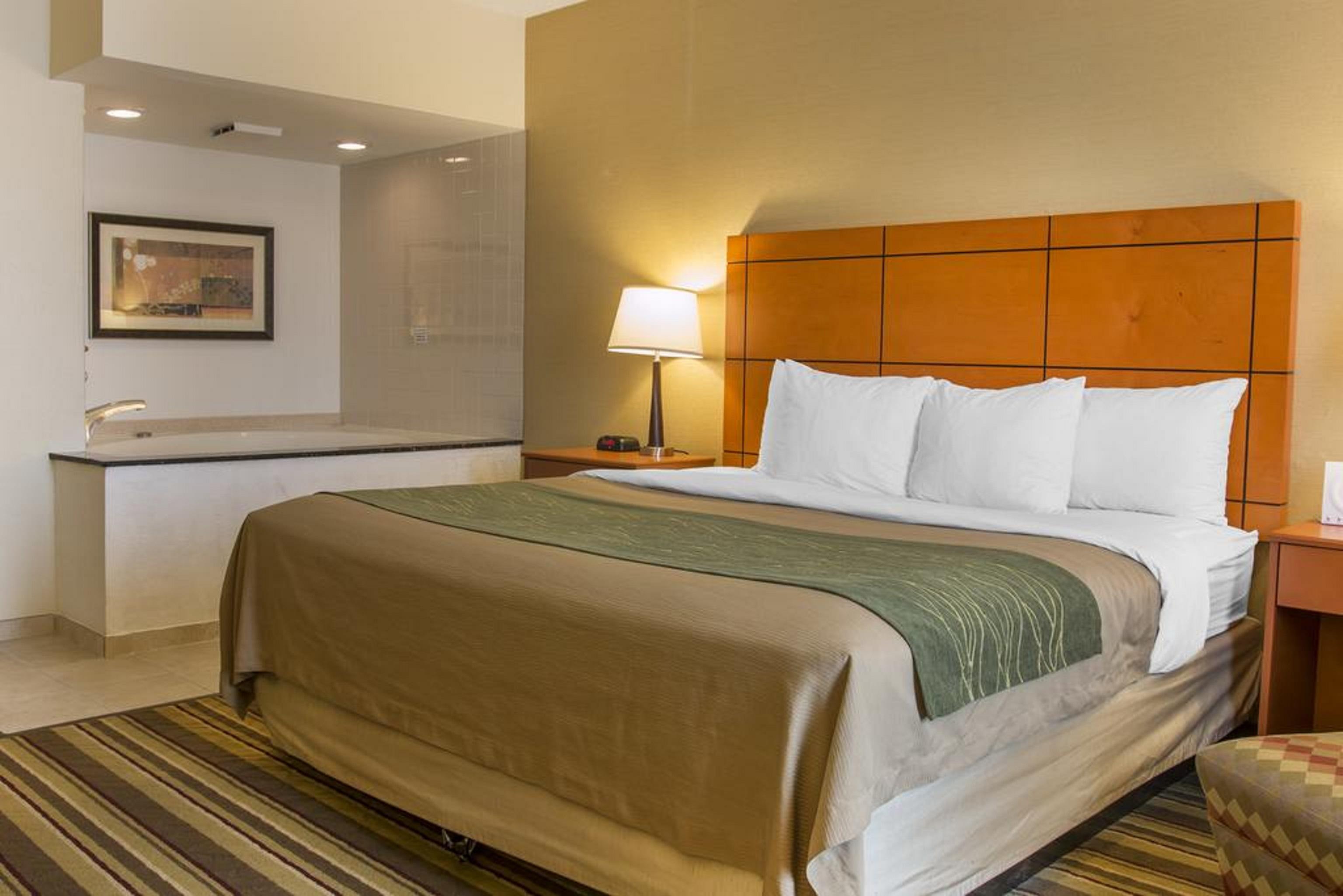 Comfort Inn Metro Airport Romulus Exterior foto