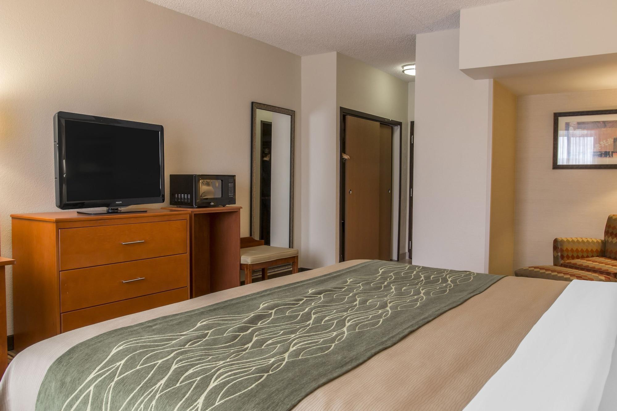 Comfort Inn Metro Airport Romulus Exterior foto